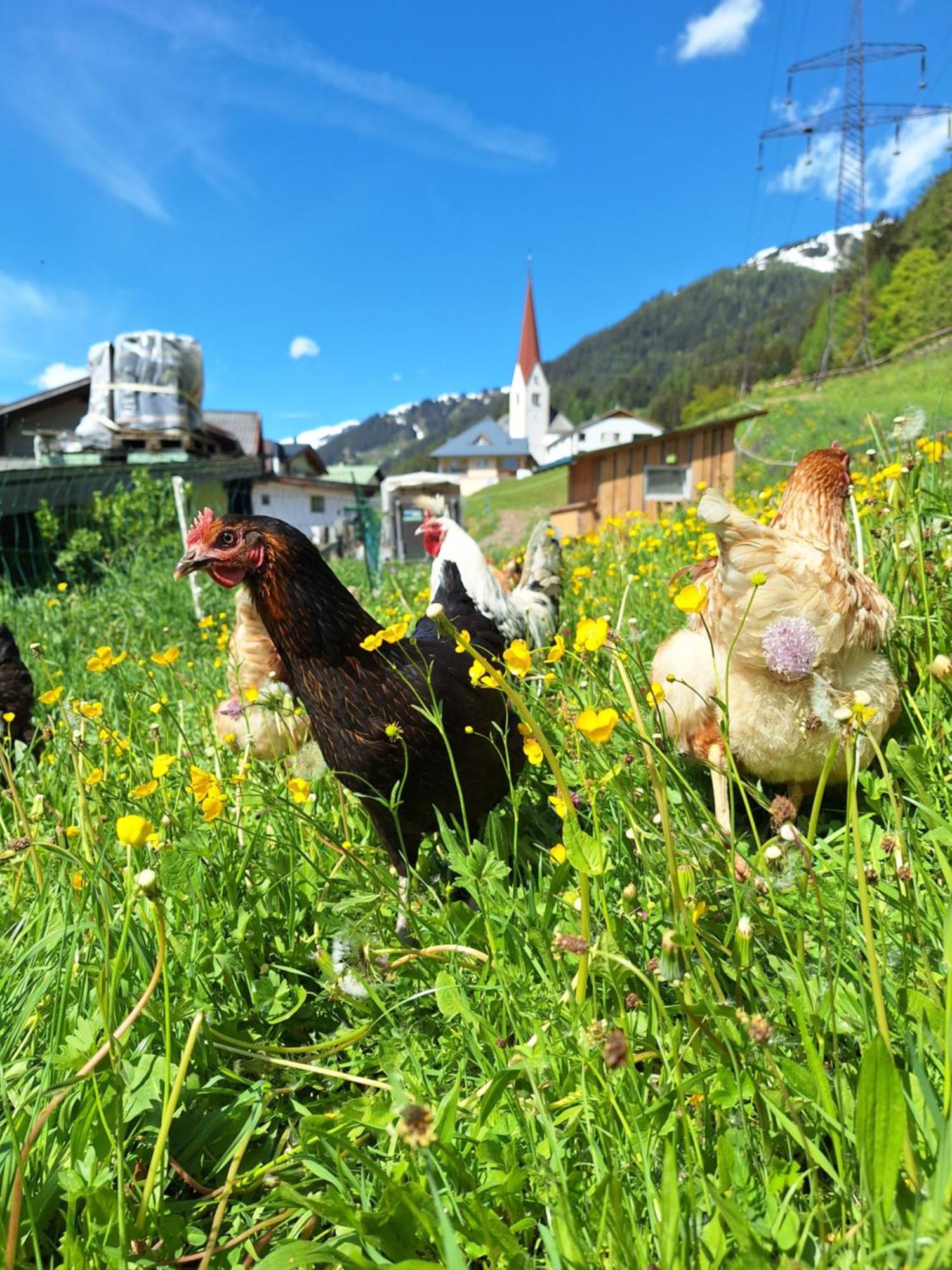 Gsoerhof Apartment Sankt Anton am Arlberg Ngoại thất bức ảnh