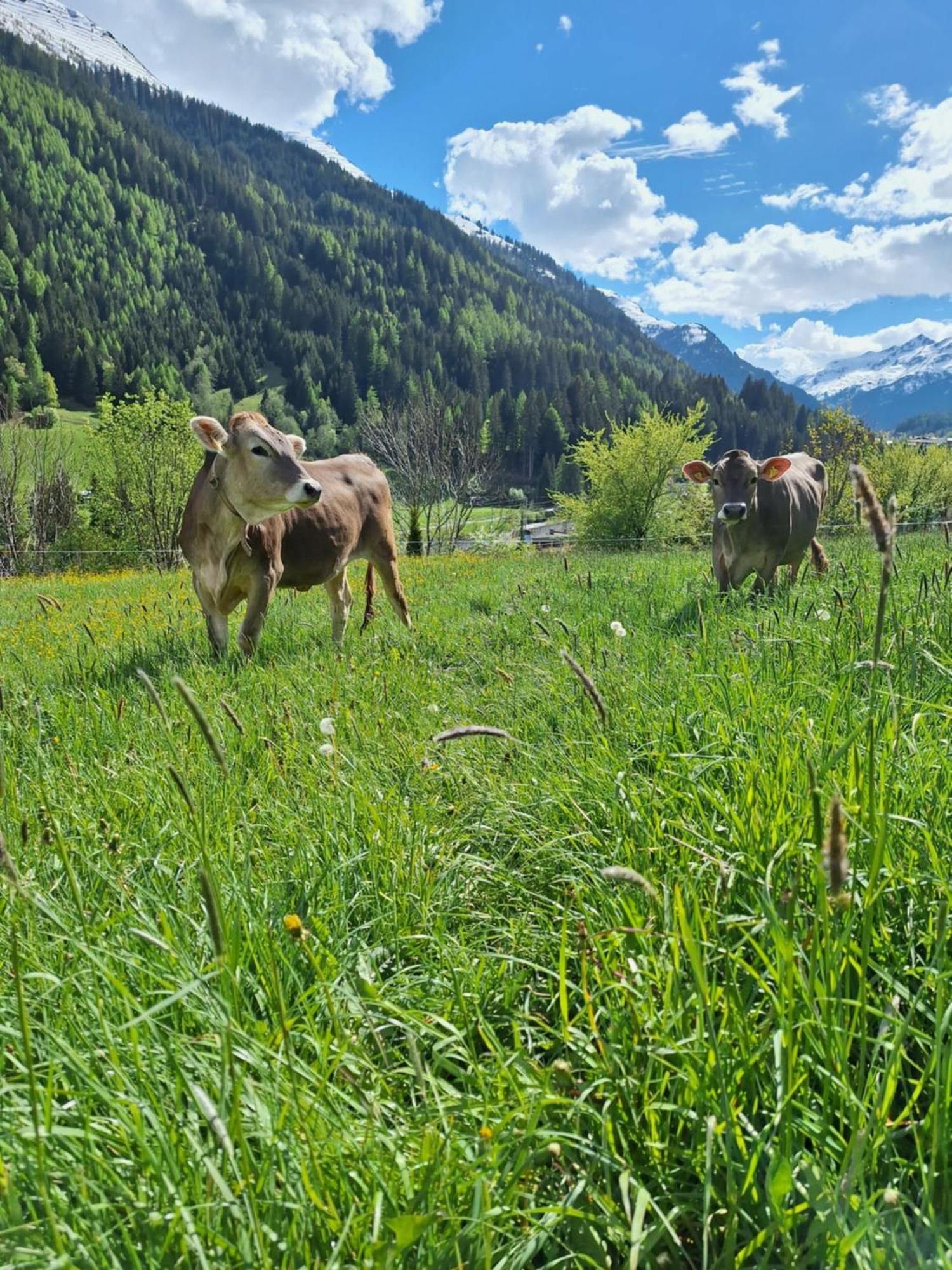 Gsoerhof Apartment Sankt Anton am Arlberg Ngoại thất bức ảnh