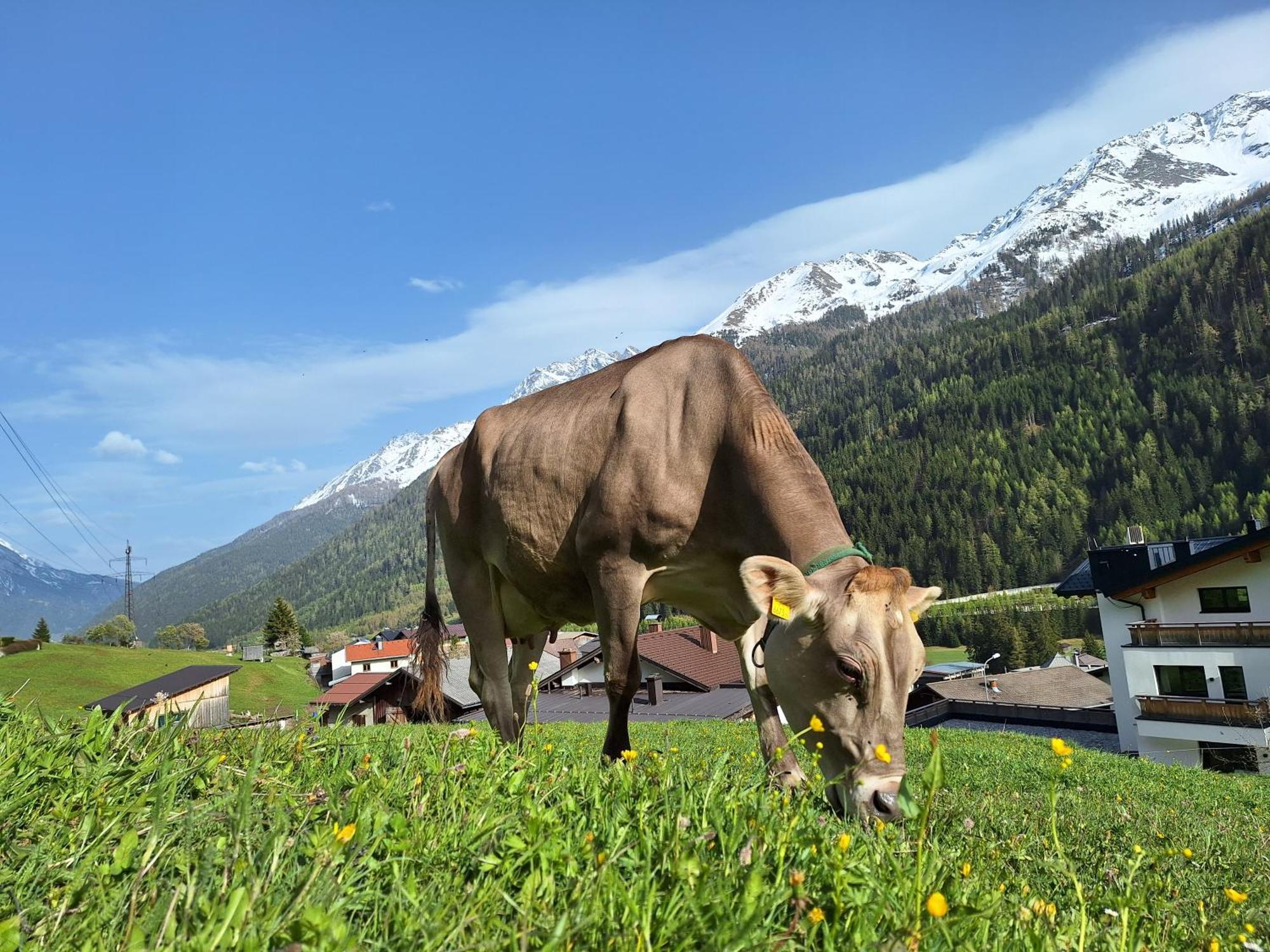 Gsoerhof Apartment Sankt Anton am Arlberg Ngoại thất bức ảnh